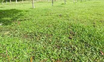 Imagem 3: Vendo terreno para chácaras