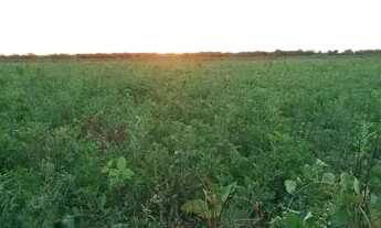 Imagem 3: Lotes no perímetro irrigado chapadão de Russas