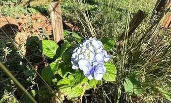 Imagem 4: Chácara em Cascavel