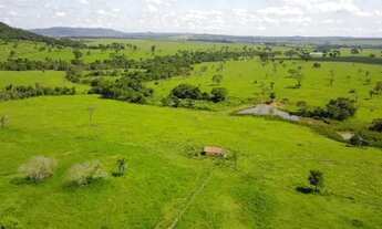 Imagem 6: Fazenda Extra 86 Alqueires de Cultura de Bacuri!