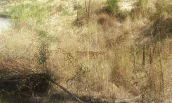 Imagem 6: Área Industrial no Bairro Jardim Piemonte