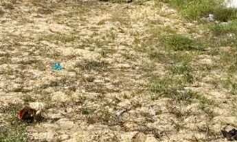 Imagem 3: Luar da Barra - Barra dos Coqueiros !