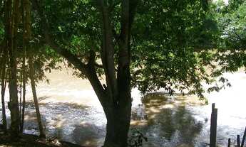 Imagem 3: Rancho do Fernando, Silviolândia, Coxim. Alugamos para pescarias e festas