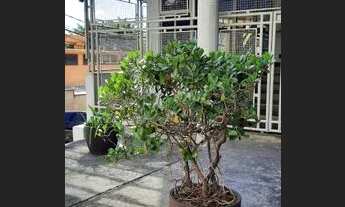 Imagem: Apartamento com 2 dormitórios para alugar