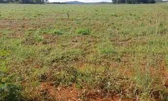 Imagem: Fazenda em Almas-TO. 50 mil por alqueire