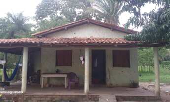 Imagem 6: Sítio 20 ha - Excelente Oportunidade - Porteira Fechada com Escritura e Registro de Imóvel