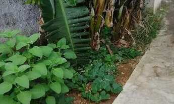 Imagem 3: São Paulo - Terreno Padrão - Água Rasa