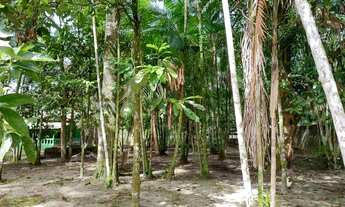 Imagem 2: Fazenda/Sítio/Chácara para venda possui 2500 metros quadrados com 1 quarto