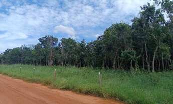 Imagem 5: Dois hectares a 12 km de Campo Grande