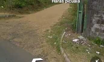 Imagem 5: Terreno com radier, estrutura para 4 lajes