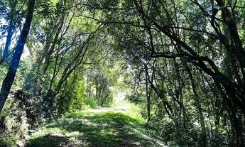 Imagem 8: Loteamento fechado com segurança e lazer perfeito para morar com a família!