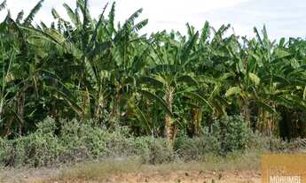 Imagem 2: Fazenda à Venda 16.000 Hectares em Ibó-abare , Bahia projetos de energia solar, refloresta