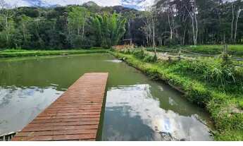 Imagem 4: Vendo Chalé com Lago + Cachoeira Privada + Piscina - 80 Km de SP