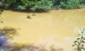 Imagem 4: Sitio 9 hectares e meia valor 295.000