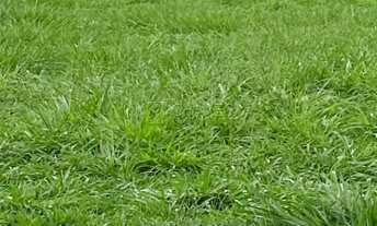 Imagem: Terreno à venda no Condomínio Terras de