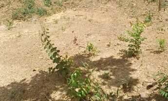 Imagem 3: Ágio de lote Corumbá 4, 1000m2, vista pro lago, cond. formado (Porto Vitória