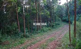 Imagem 3: Sítio Morro Redondo