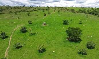 Imagem 3: Vende-se 10 Alq. em Corumbá de Goiás - Próximo a Taguatinga-DF