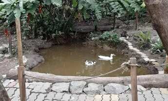 Imagem 3: Apartamento em Rua Trucal - Goiânia - Belo Horizonte/MG