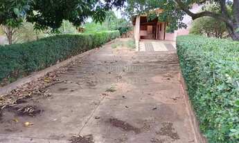 Imagem 6: Rural Chácara em São José do Rio Preto