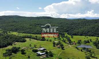 Imagem: Fazenda 323 alqueires (1.563 hectares) Colinas