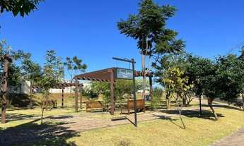 Imagem 7: Terreno em Cravinhos