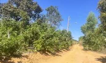 Imagem 2: CHÁCARA À VENDA - GLEBA AGROTINS / PALMAS-TO ?