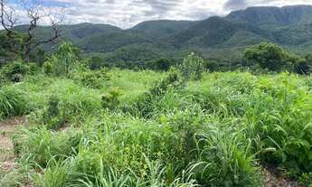 Imagem 3: Fazenda Goiás Monte alegre