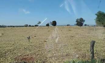 Imagem 3: Fazenda à Venda em Bom Jardim (GO) 140 alqueires