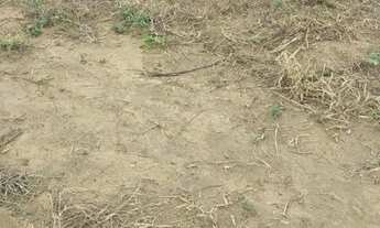 Imagem 5: TERRENO Marataizes 10x20 30mil