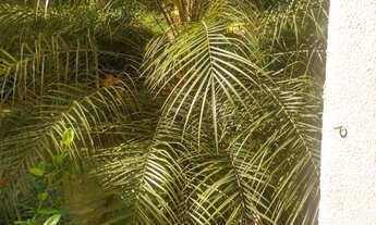 Imagem 4: Vendo ou alugo Apartamento com 2 dormitórios