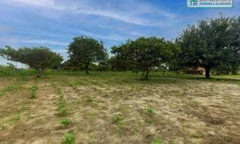 Imagem 5: Terreno à venda, 13244 m² por R$ 2.750.000,00 - Pedras - Fortaleza/CE