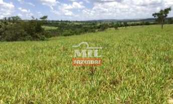 Imagem 6: Fazenda com 45 Alqueires (218 hectares) em Ipameri - Goiás