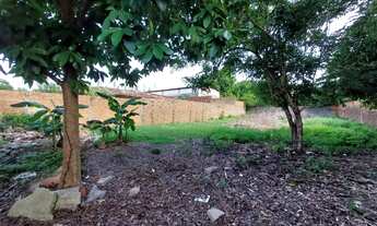 Imagem 4: Oportunidade única! Ideal para Investidores e Construtoras. Terreno c/ 803m², próx. Shoppi