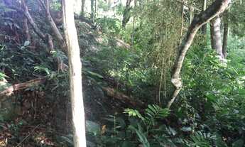 Imagem 6: Terreno de 3643.79m² no bairro Sambaqui