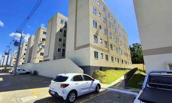 Imagem: Dona Mercedes