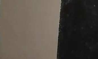 Imagem 4: Galpão Comercial na Aruana