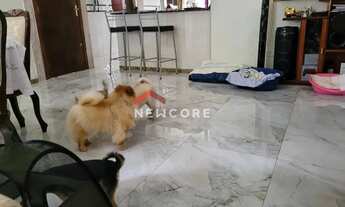 Imagem 7: Sobrado em Rua Fábio Fanuchi - Santa Cândida - Curitiba/PR