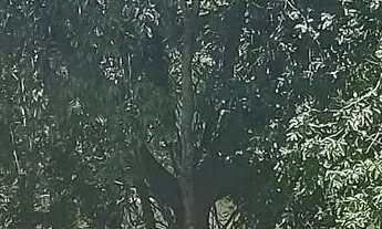 Imagem 4: Imóvel para venda com 1223 metros quadrados em Condomínio Águas da serra - Hidrolândia - G