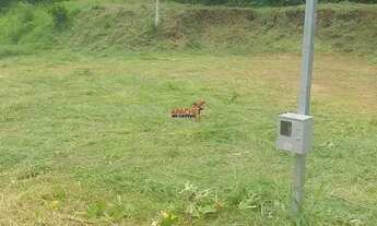 Imagem 4: Maravilhosa chacara Localizada no Paraiso em Viçosa MG