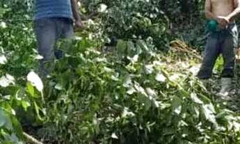 Imagem 7: Venda de terreno em Tapiraí