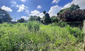 Imagem 5: Excelente terreno para Venda- Parque Hotel