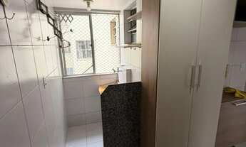 Imagem 3: ANA20: PALMEIRAS 4