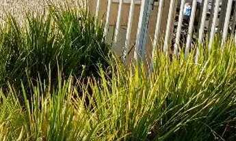 Imagem 2: Vende-se apartamento no boleto direto comigo, não é consórcio....pra vender rápido!!!