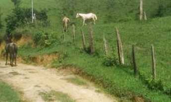 Imagem 7: Linda fazenda no Vale do Mucuri