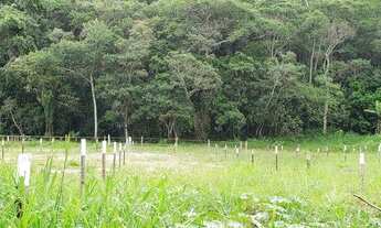 Imagem: Terrenos planos à venda, 300 m² por R$