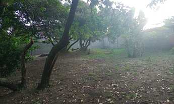 Imagem 3: Vendo Lote Pedrinhas