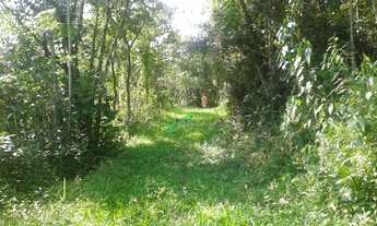 Imagem 3: Sítio à venda, 43588 m² por R$ 480.000,00 - Freguesia da Escada - Guararema/SP