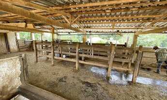 Imagem 6: 17- Sítio em ILHÉUS, 13 Hectares