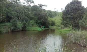 Imagem 7: Sítio com 3 dormitórios à venda, 338800 m² por R$ 2.600.000,00 - Toca Do Leitão - Santa Br